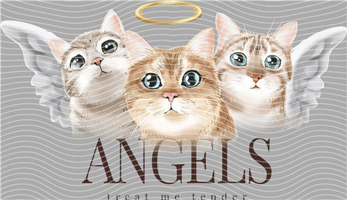 Best selling design-CX 2481